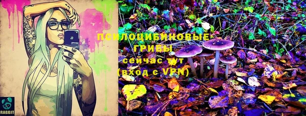 соль курить ск Богородицк