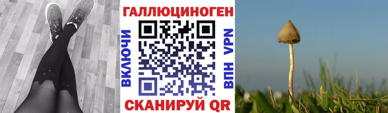 Псилоцибиновые грибы Magic Shrooms  Купить закладки  Палласовка 